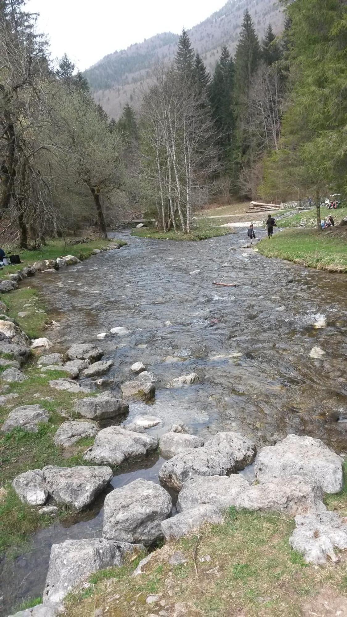 Les Tilleuls Saint-Jean-d'Avelanne Exteriér fotografie